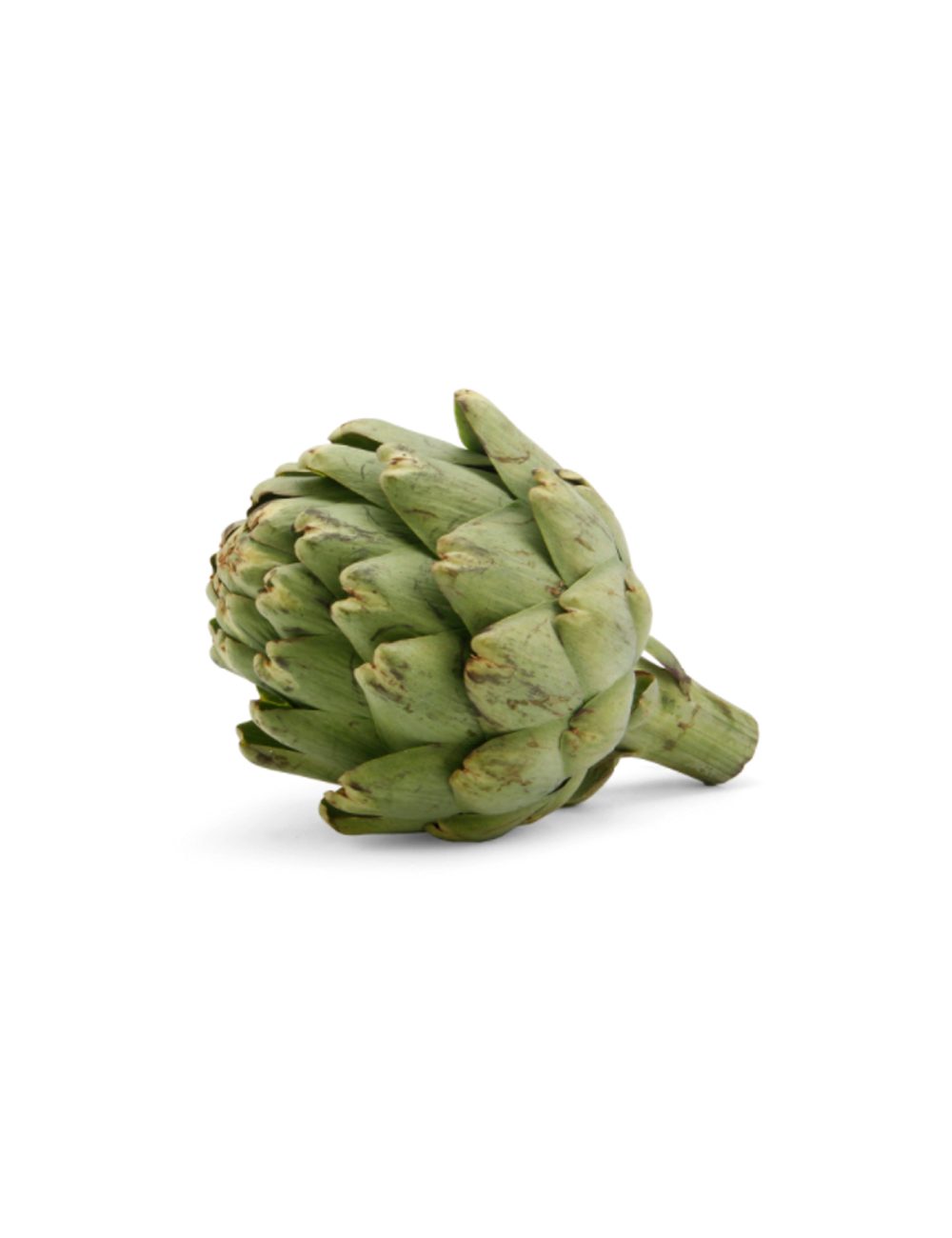 Organic Artichoke